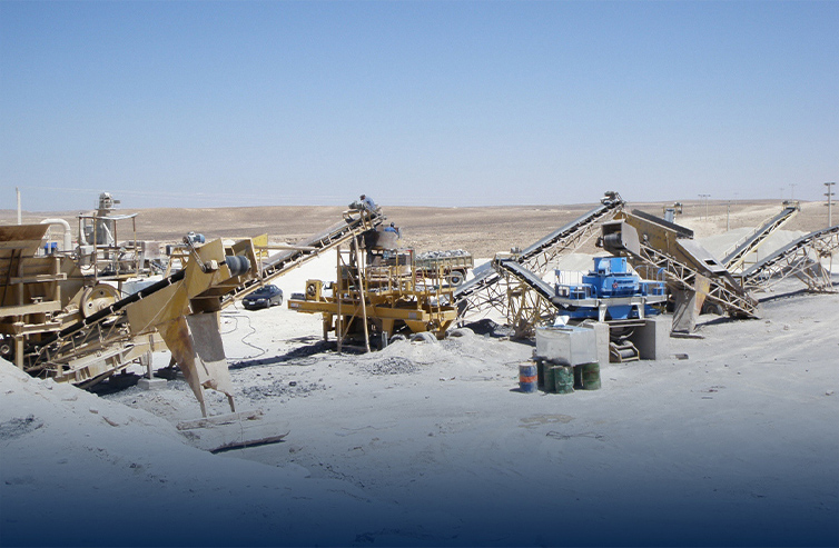 1500t/d Gold Ore Processing Plant in Tanzania