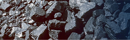 Coal